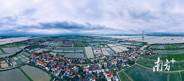 5月15日，广州海鸥岛桑基鱼塘美景。微游寰宇 摄
