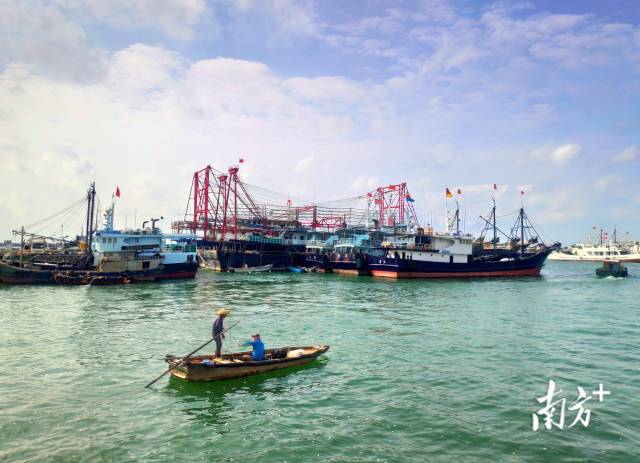 5月18日，湛江霞山渔港丽日晴空，渔船停泊休整。陈永锋 摄