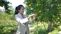 我在基层 | 90后“新农人”盼世界能品尝广东鲜美水果 我在基层 | 90后“新农人”盼世界能品尝广东鲜美水果