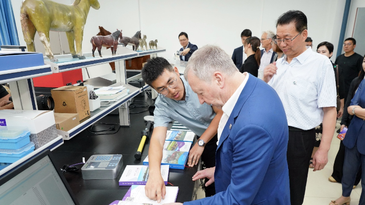 新疆携手香港赛马会共促马产业发展，计划举办伊犁马国家级专项赛事