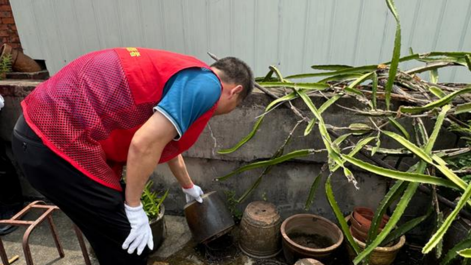 Guangdong rolls out measures to combat mosquito-borne diseases amid surge in cases