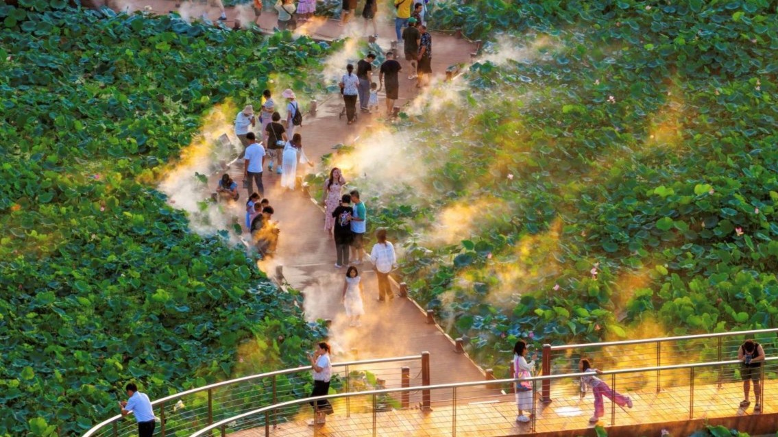 3º Festival de Lótus de Hengqin é encerrado, e a exposição de fotos é aberta