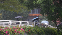 广东29-30日有中到大雨局部暴雨 广东29-30日有中到大雨局部暴雨