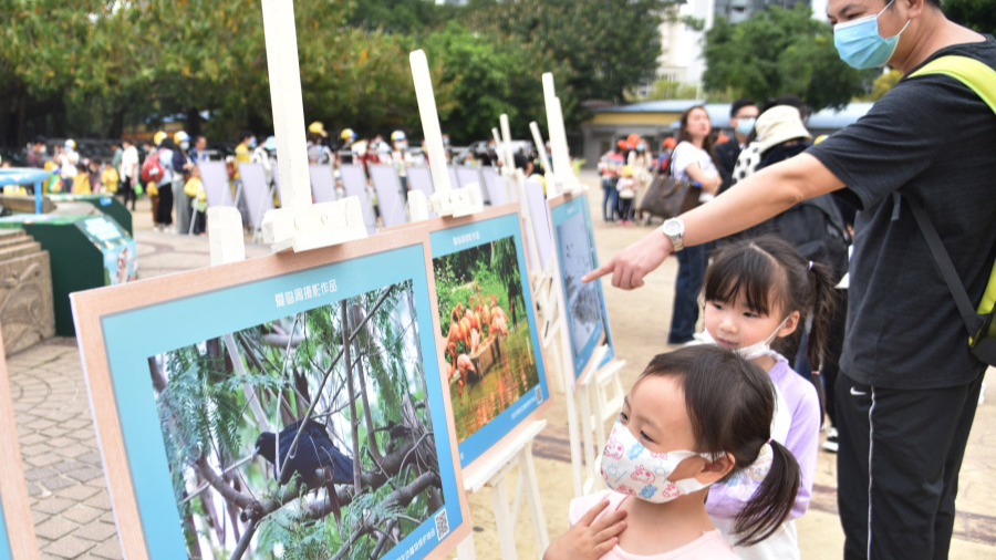 Fun activities held in Guangzhou to call for bird protection