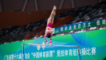 竞技组与群众组多个项目开赛!广东省运会掀高潮 竞技组与群众组多个项目开赛!广东省运会掀高潮