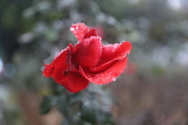Wet, rainy weather to linger in Guangdong for 10 more days
