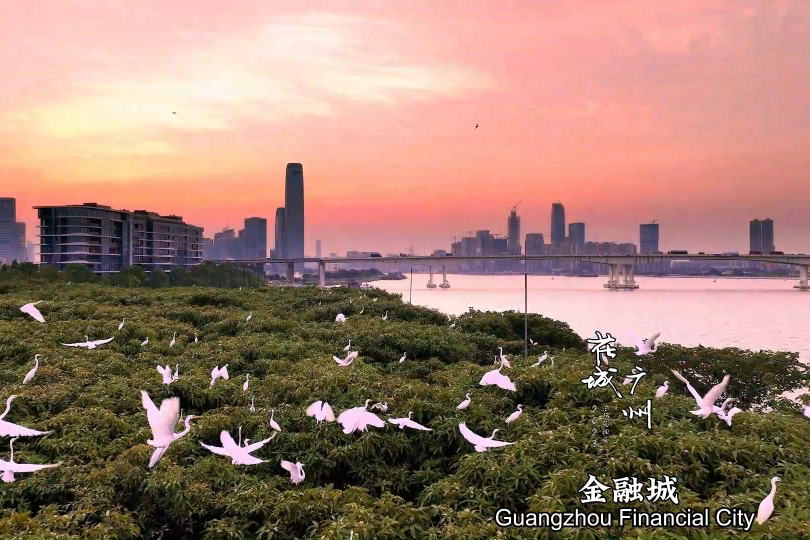 Picturesque aerial view of downtown Guangzhou