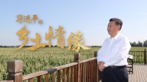 习近平的乡土情缘 习近平的乡土情缘