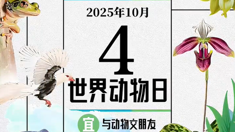 生态日历｜相约山林遇见我们的好朋友