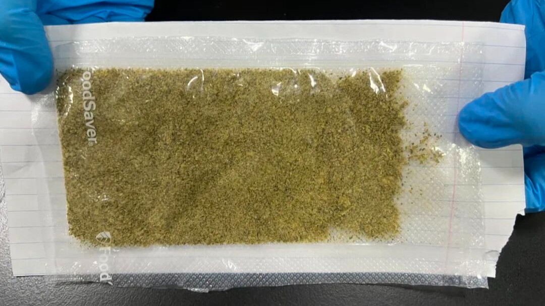 闻臭识毒品，海关顺味儿在函件里查获10.31克大麻