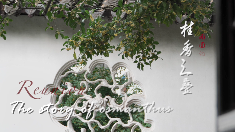 The story of osmanthus·Reunion