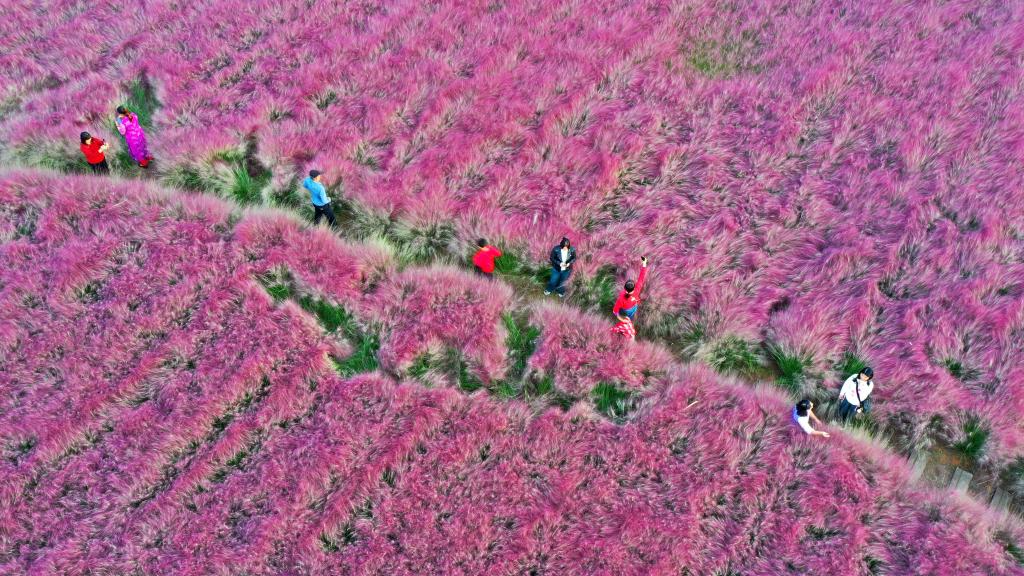 La Chine enregistre 888 millions de voyages intérieurs pendant les vacances de huit jours