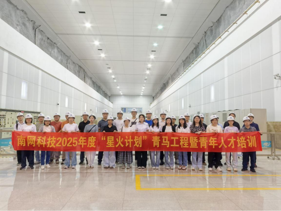 “星火计划”青马、青年人才培训班参观惠州抽水蓄能电站