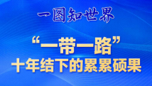 一图知世界丨“一带一路”十年结下的累累硕果 一图知世界丨“一带一路”十年结下的累累硕果