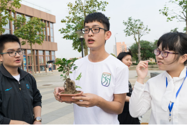 云图片