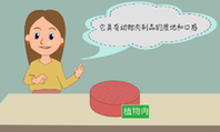 人造肉，你了解吗
