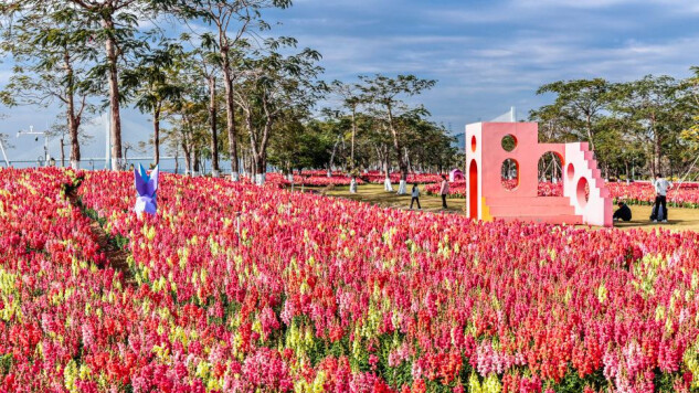 Festival da Primavera em Hengqin: Experimentar a beleza da natureza e a diversão da ecologia