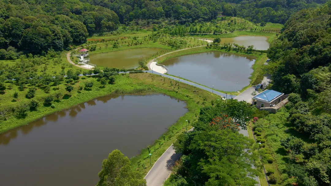 Shenzhen's first forest outdoor sports carnival set to kick off