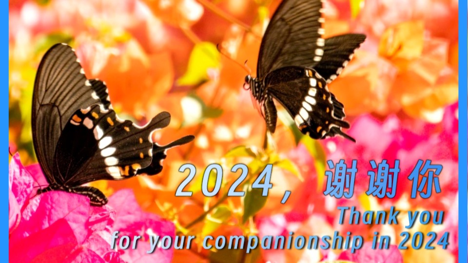 Thank you for your companionship in 2024