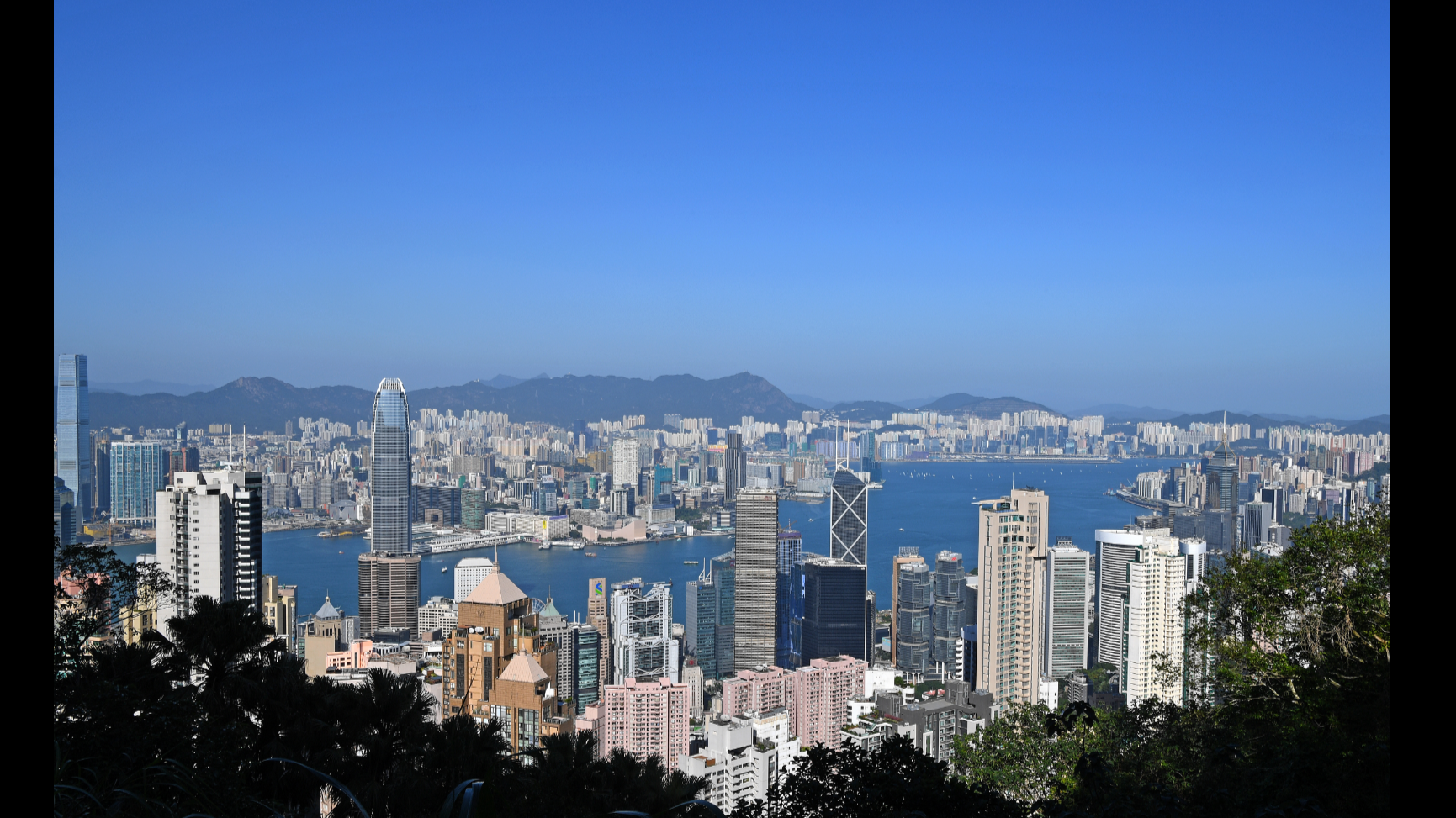 Record high number of startups in Hong Kong in 2024