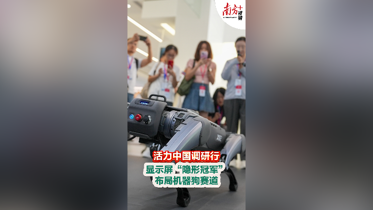 显示屏“隐形冠军”布局机器狗赛道丨活力中国调研行
