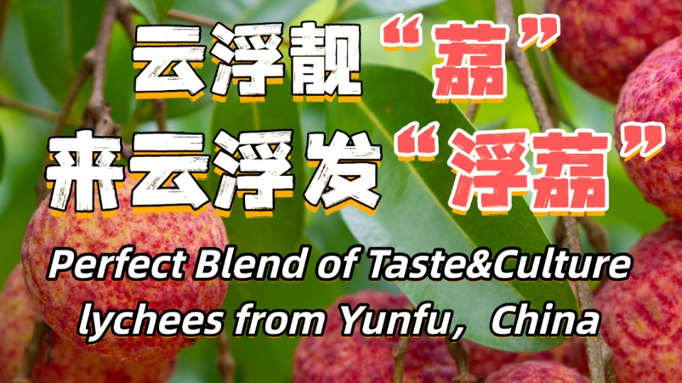 Perfect blend of taste & culture; lychees from Yunfu, China
