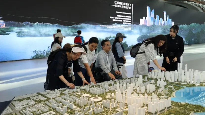 无障碍畅行！深圳中轴线CityWalk交出“包容性答卷”