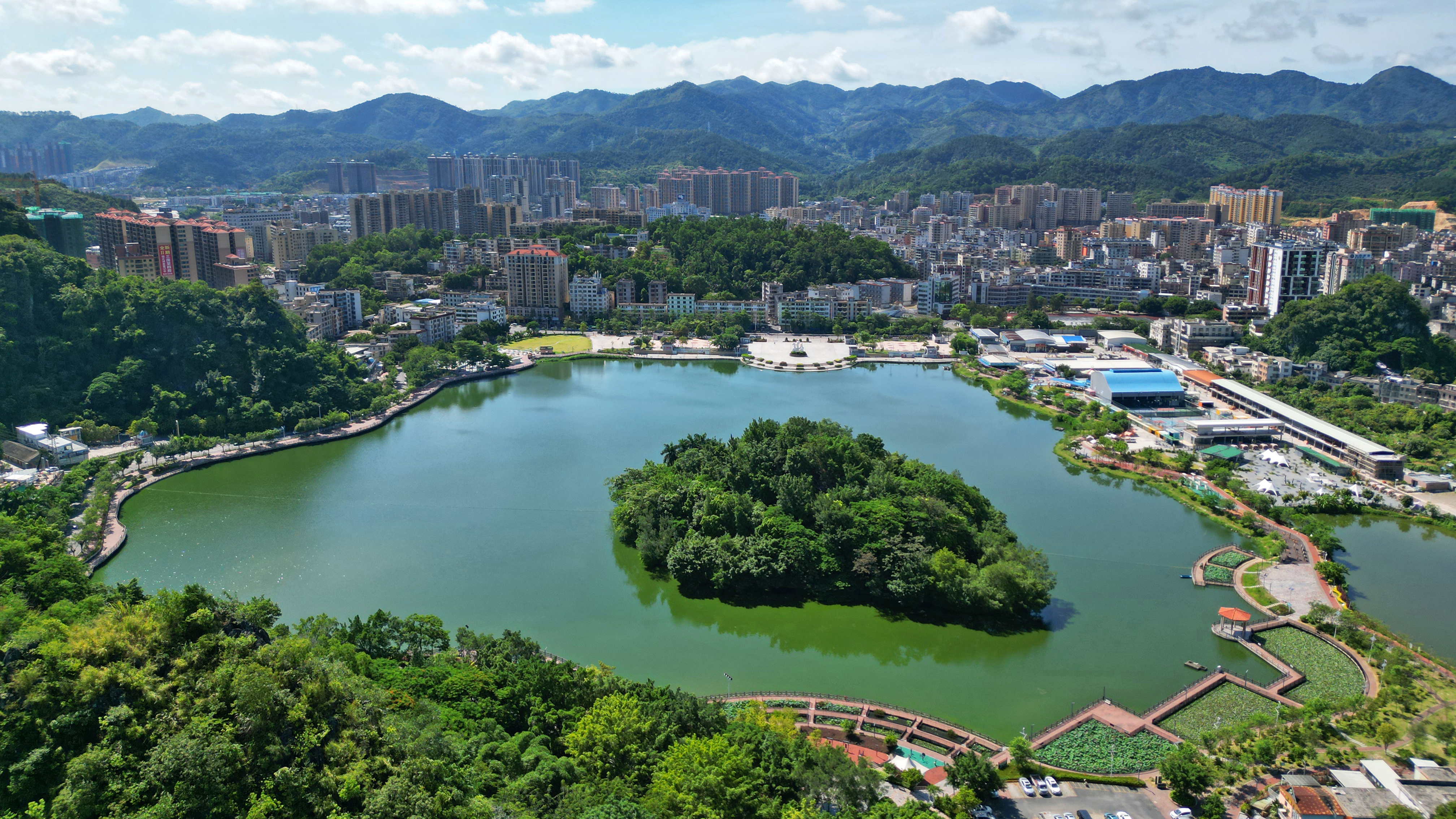 “百万英才汇南粤”行动计划丨云城区农产品检验检测服务中心农艺师、博士王铃艳：热衷“空中番薯”嫁接的新农人