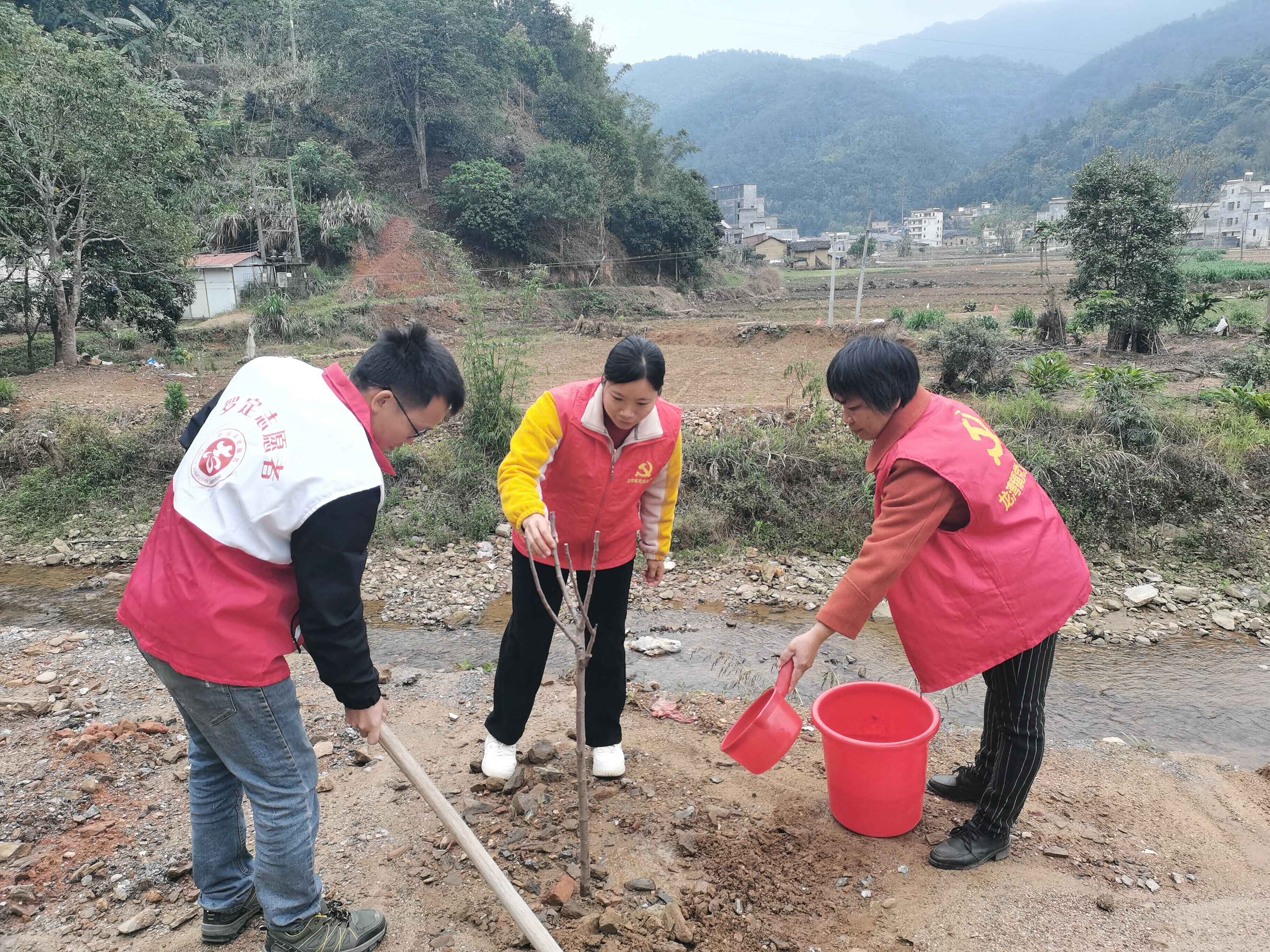 罗定市龙湾镇开展“我为全运种棵树”义务植树活动