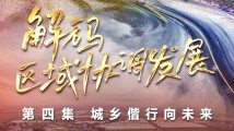 四集政论片《解码区域协调发展》第四集《城乡偕行向未来》 四集政论片《解码区域协调发展》第四集《城乡偕行向未来》