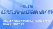 广东贯彻落实《东莞方案》 深化两岸创新发展合作