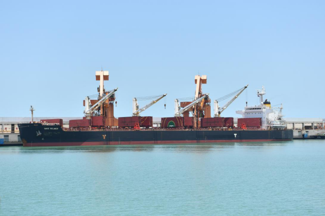 煤船正在雷州发电公司码头卸煤。王朝阳 摄