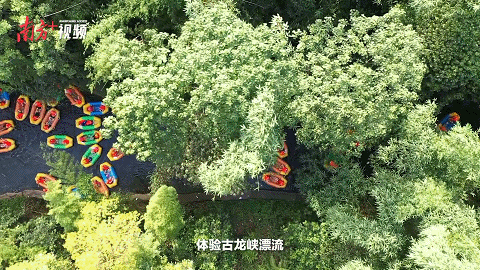 南方+ 陈锴进 制图