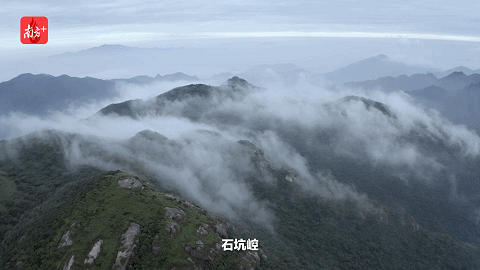 南方+ 陈锴进 制图