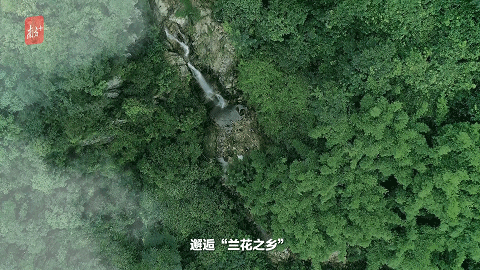 南方+ 陈锴进 制图