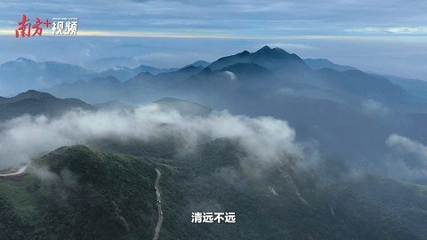 南方+ 陈锴进 制图