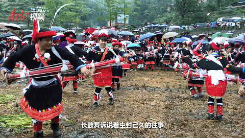 南方+ 陈锴进 制图