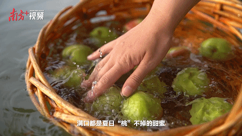 南方+ 陈锴进 制图