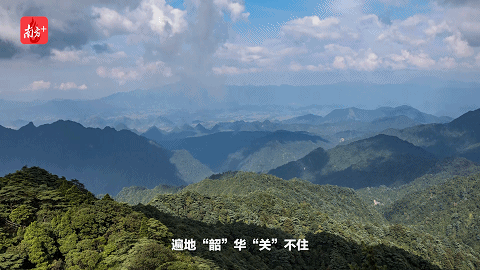 南方+ 陈锴进 制图