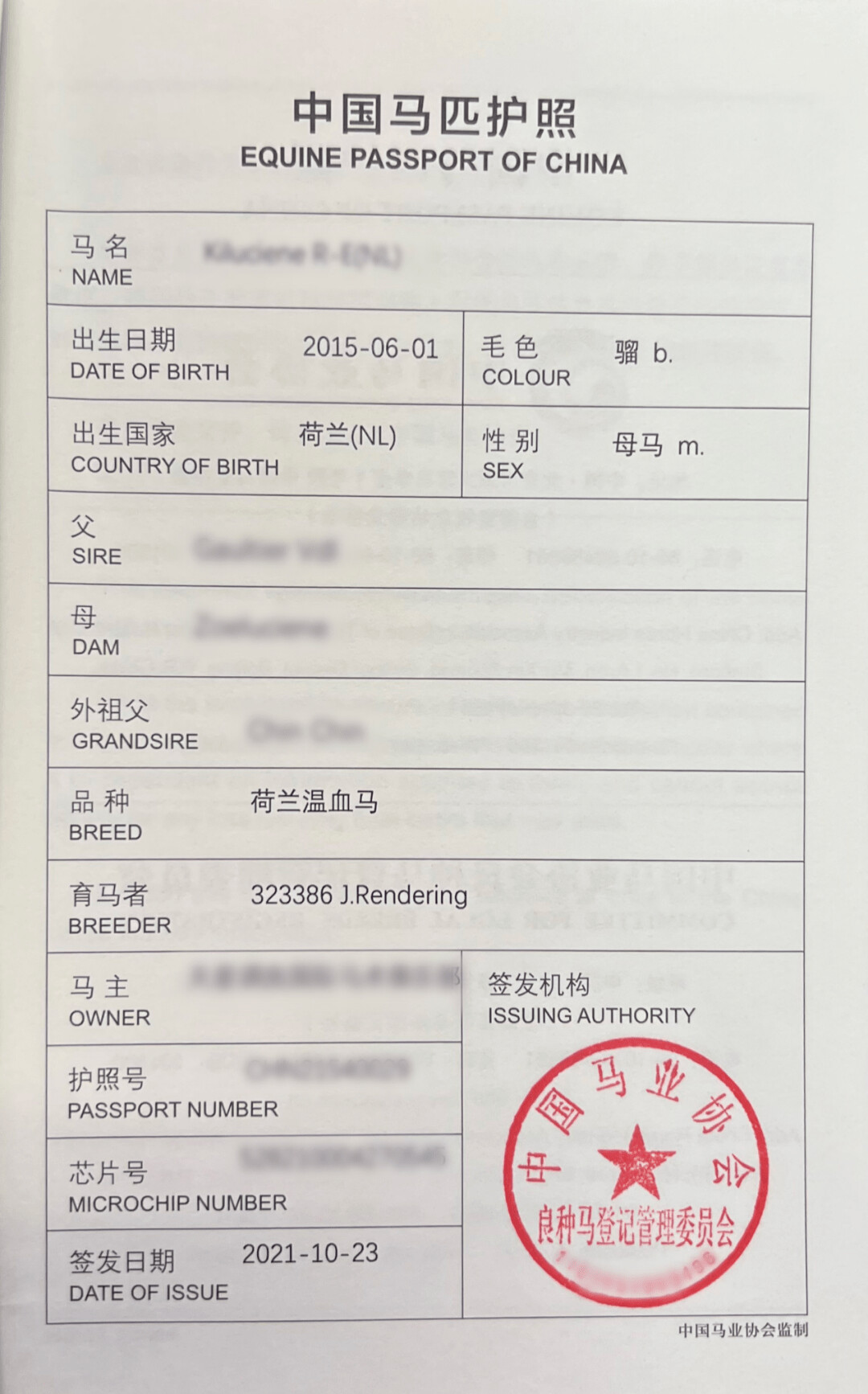 中国马匹护照