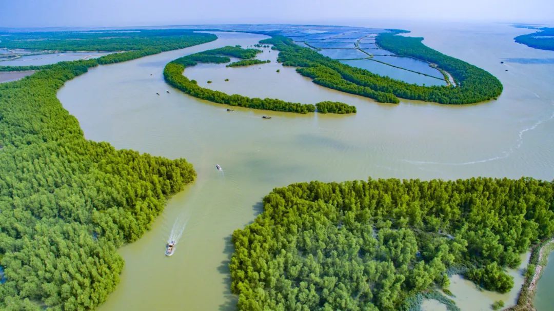 广东湛江红树林国家级自然保护区