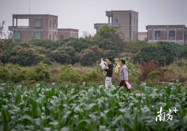 师徒俩拿着木偶行走在乡间小道,师父叮嘱陈国劲晚上的演出不要紧张,按平常训练来就行。 师徒俩拿着木偶行走在乡间小道,师父叮嘱陈国劲晚上的演出不要紧张,按平常训练来就行。