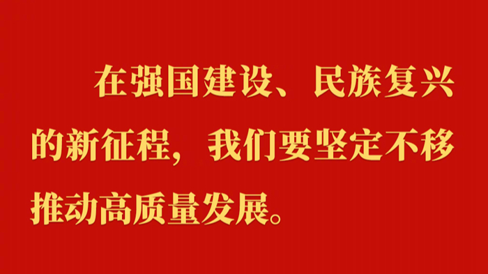 习近平在第十四届全国人大一次会议上的讲话金句