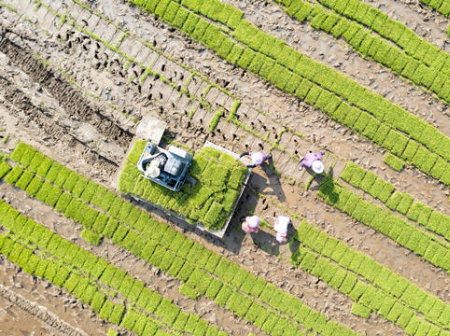 经济长期向好的基本面没有变：落实落细各项粮食稳产措施