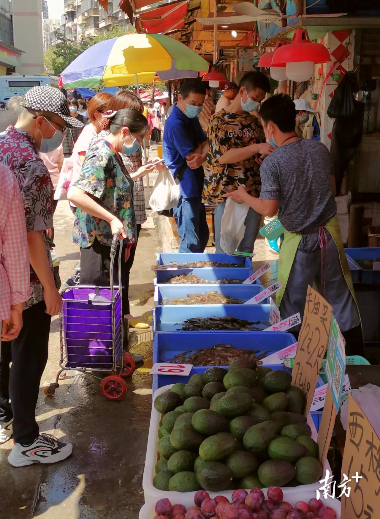 10日上午，记者再次来到沙园菜市场。现场所见时令副食品以及水果的供应量与价格，与平日并无异常。4月9日，广州市海珠区沙园市场采购物资的市民明显增多，许多铺位脱销。  南方日报 南方+记者 吴伟洪 摄影报道  