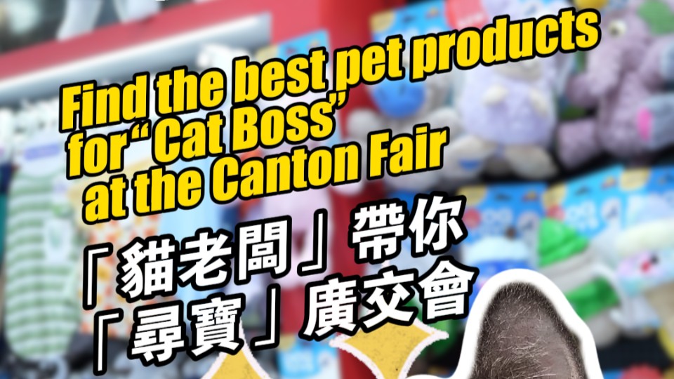 Find best pet products for "Cat Boss" at Canton Fair