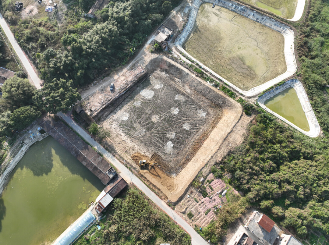 新兴县东成镇：大抓集体经济发展 实现闲置鱼塘不“闲