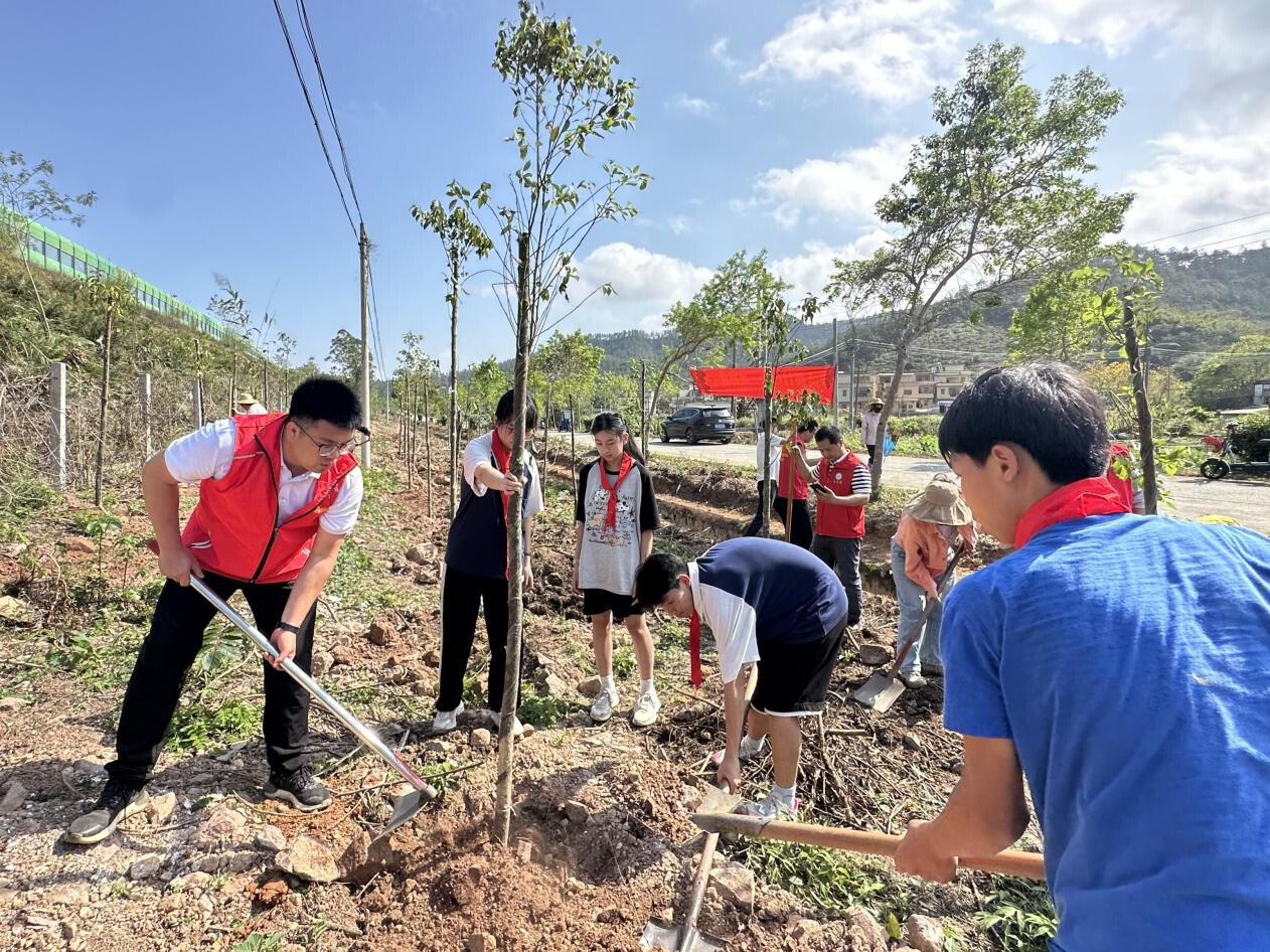 新兴县簕竹镇：抢抓黄金期，共植绿美林