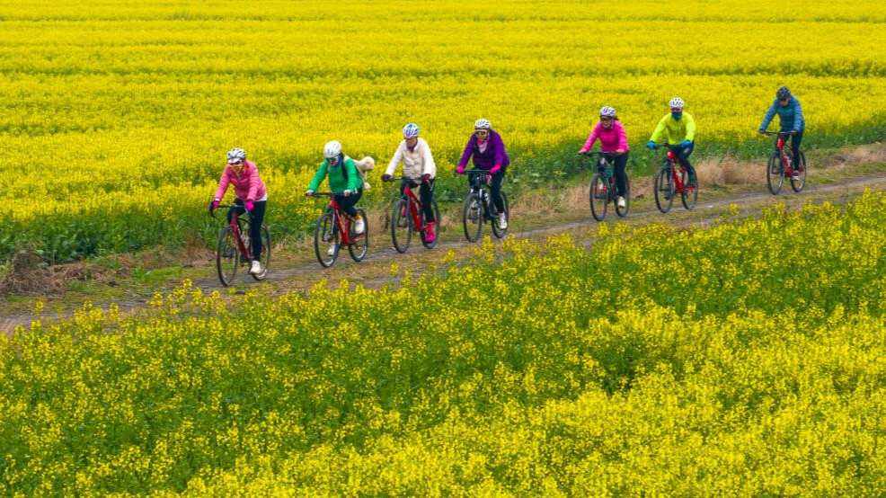 Spring scenery across China