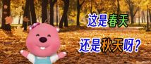 广州人注意!你踩的落叶正在“重生”! 广州人注意!你踩的落叶正在“重生”!
